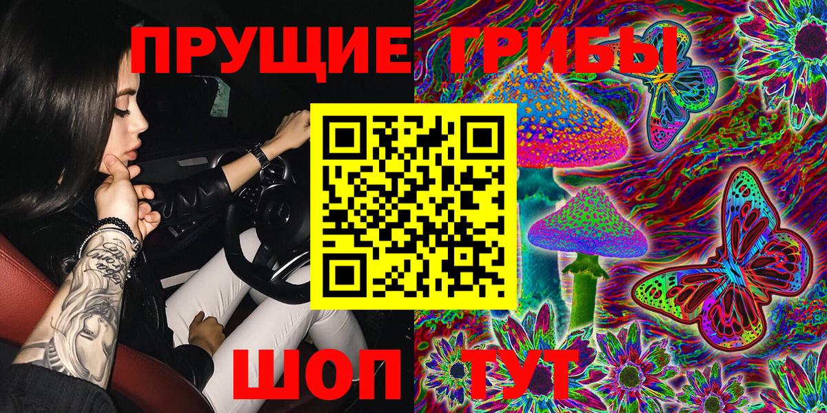 наркошоп  Галлюциногенные грибы Psilocybine cubensis  Белово  Галлюциногенные грибы Psilocybe 