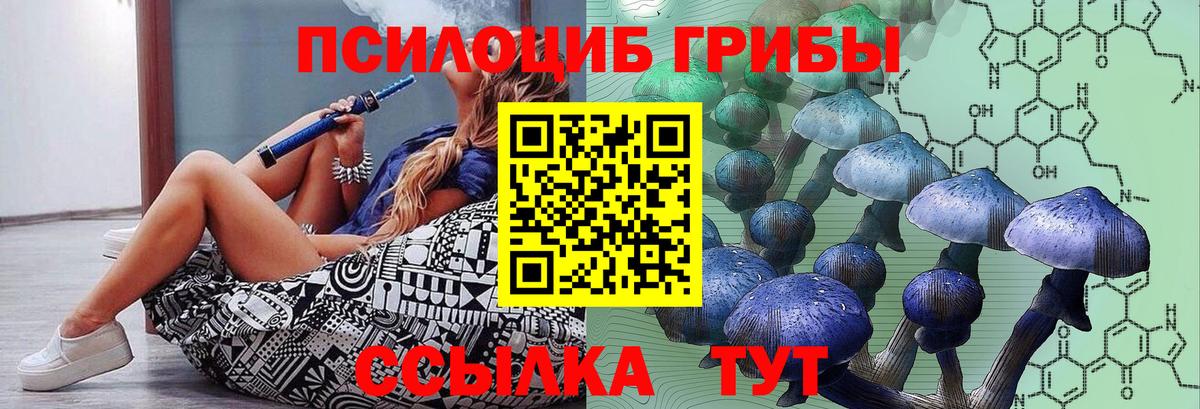 Белово  Псилоцибиновые грибы Cubensis  Вход с VPN  Галлюциногенные грибы ЛСД 