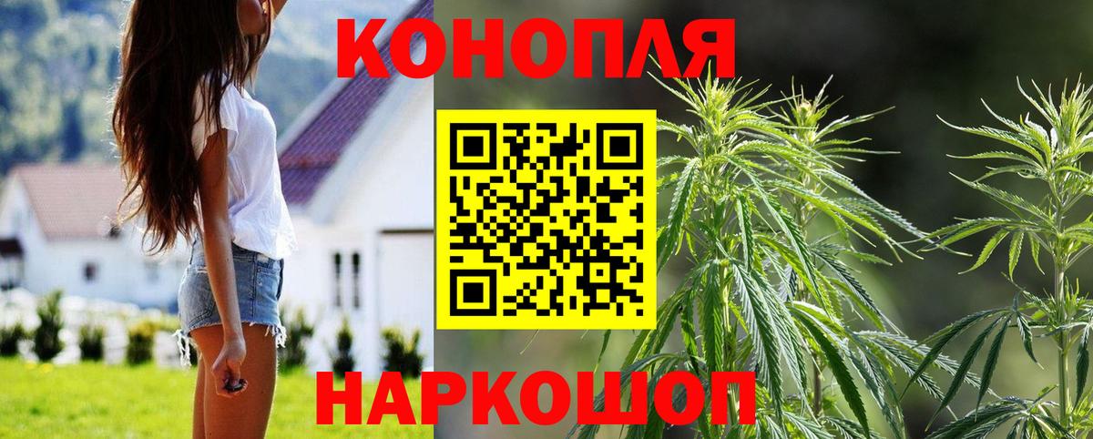 Бошки марихуана сатива  МАРИХУАНА сатива  Вход с VPN  Бошки Шишки тримм  Канабис SATIVA & INDICA  Белово 